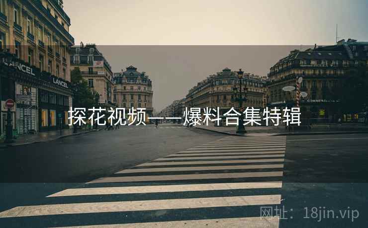 探花视频——爆料合集特辑