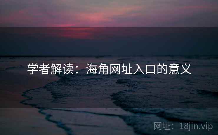 学者解读：海角网址入口的意义