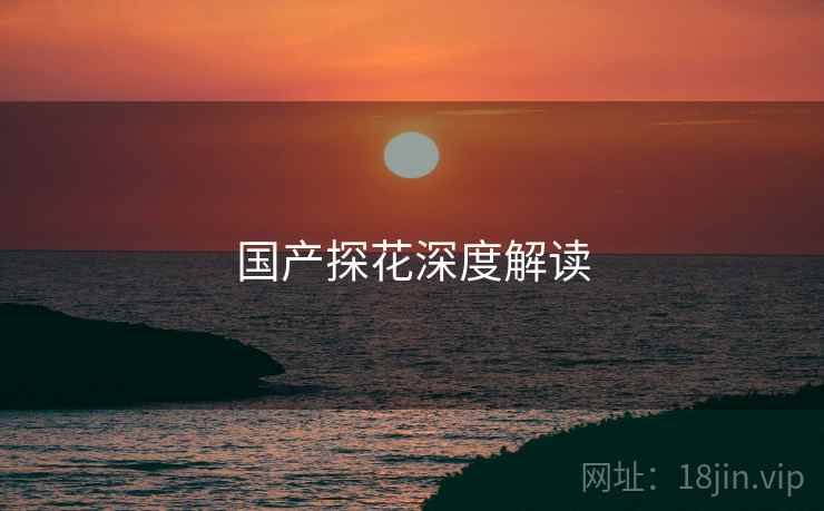 国产探花深度解读