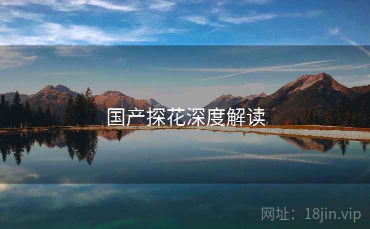 国产探花深度解读