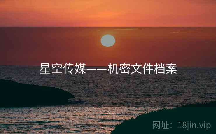星空传媒——机密文件档案