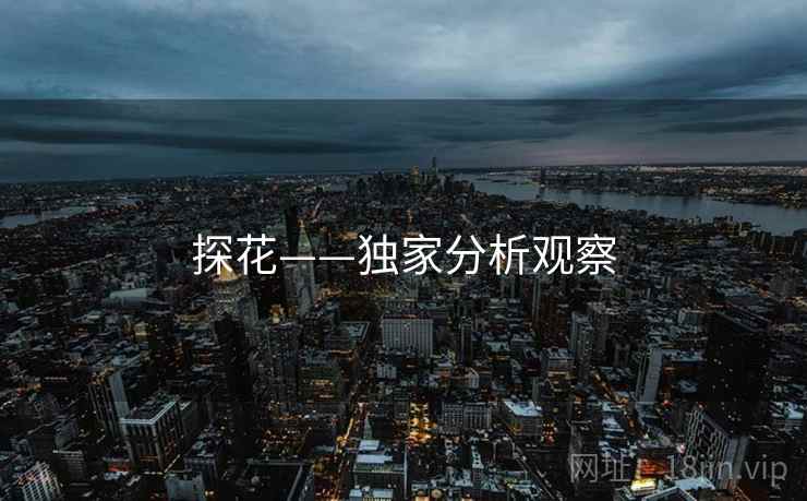 探花——独家分析观察