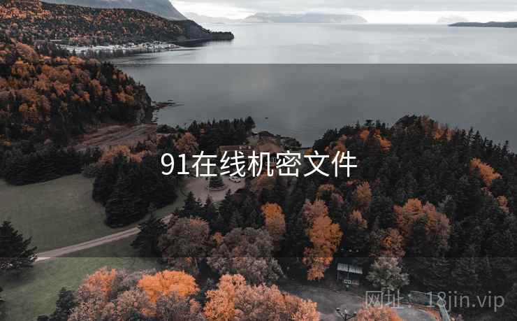 91在线机密文件