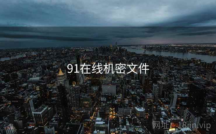 91在线机密文件