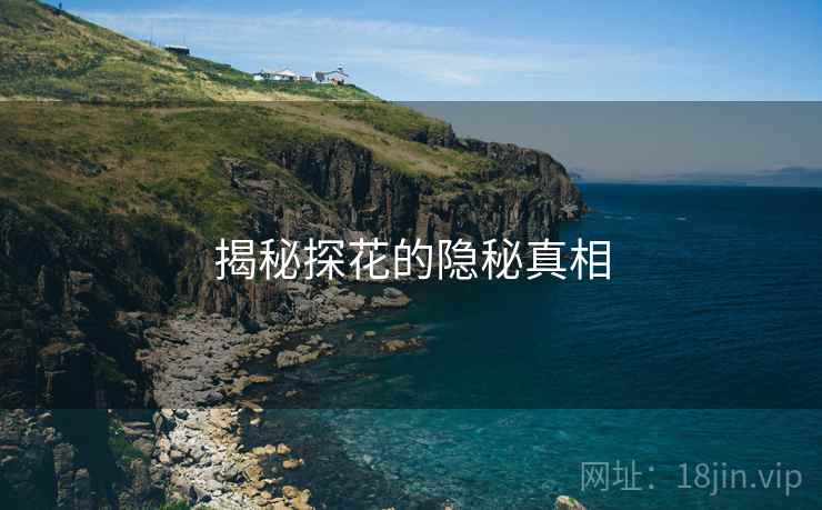 揭秘探花的隐秘真相