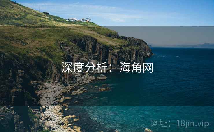 深度分析：海角网