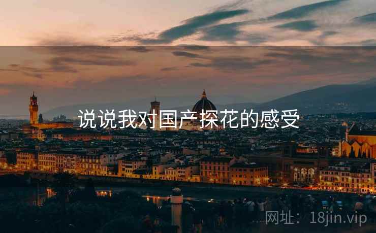 说说我对国产探花的感受