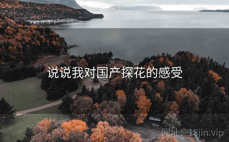 说说我对国产探花的感受