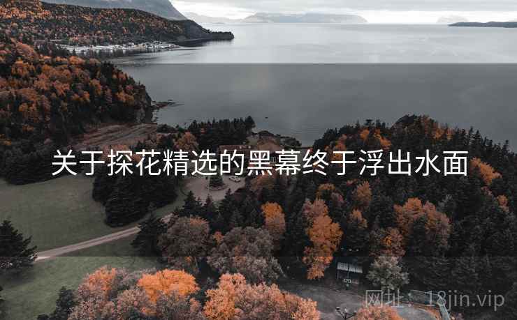 关于探花精选的黑幕终于浮出水面
