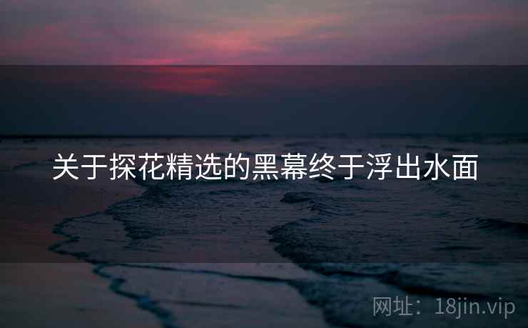 关于探花精选的黑幕终于浮出水面