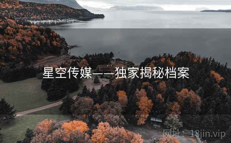 星空传媒——独家揭秘档案