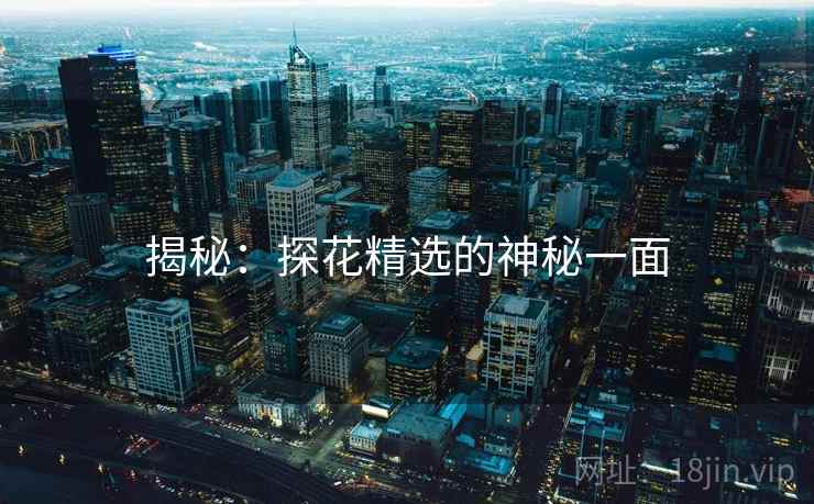 揭秘:探花精选的神秘一面