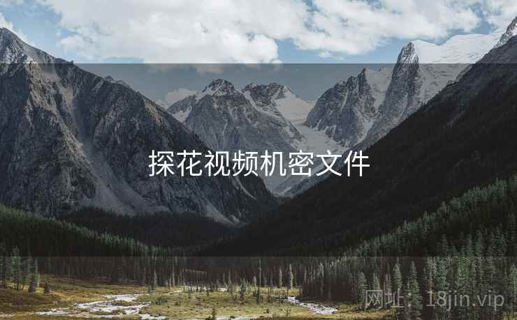 探花视频机密文件