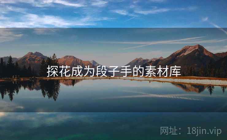 探花成为段子手的素材库 探花成为段子手的素材库