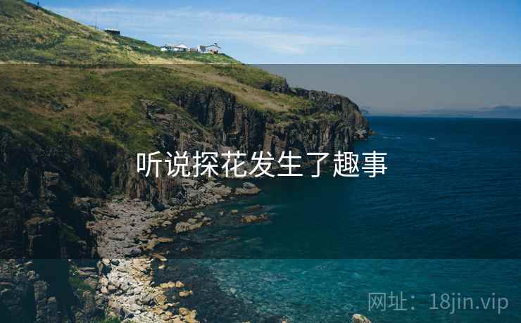 听说探花发生了趣事 听说探花发生了趣事