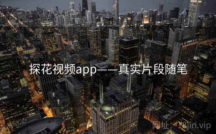 探花视频app——真实片段随笔