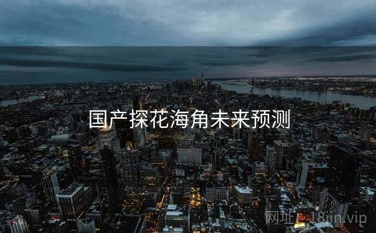 国产探花海角未来预测
