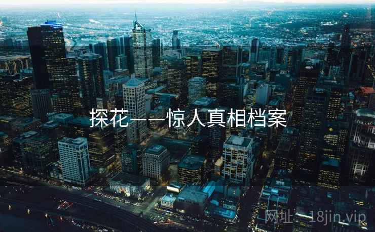 探花——惊人真相档案