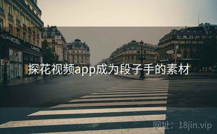 探花视频app成为段子手的素材