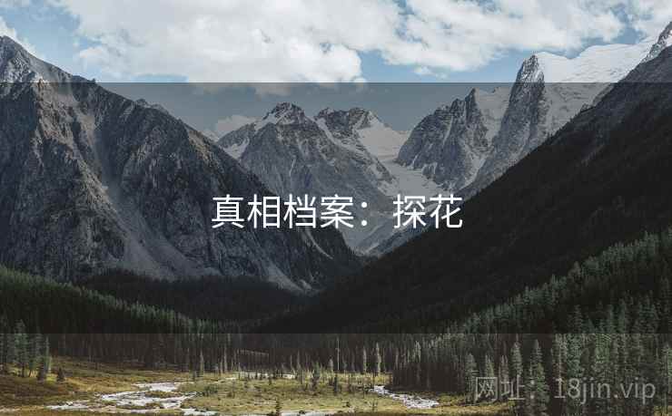 真相档案：探花