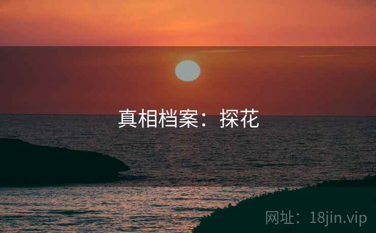 真相档案:探花 真相档案:探花