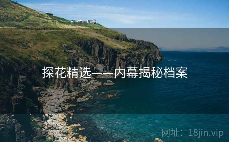 探花精选——内幕揭秘档案